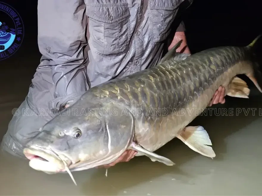 Seti Karnali Fishing Expedition – 1 Days