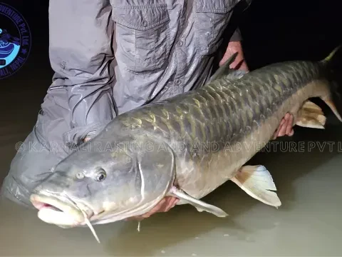 Seti Karnali Fishing Expedition – 1 Days