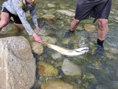 Seti–Karnali Mahseer Angling Expedition - 17 Days