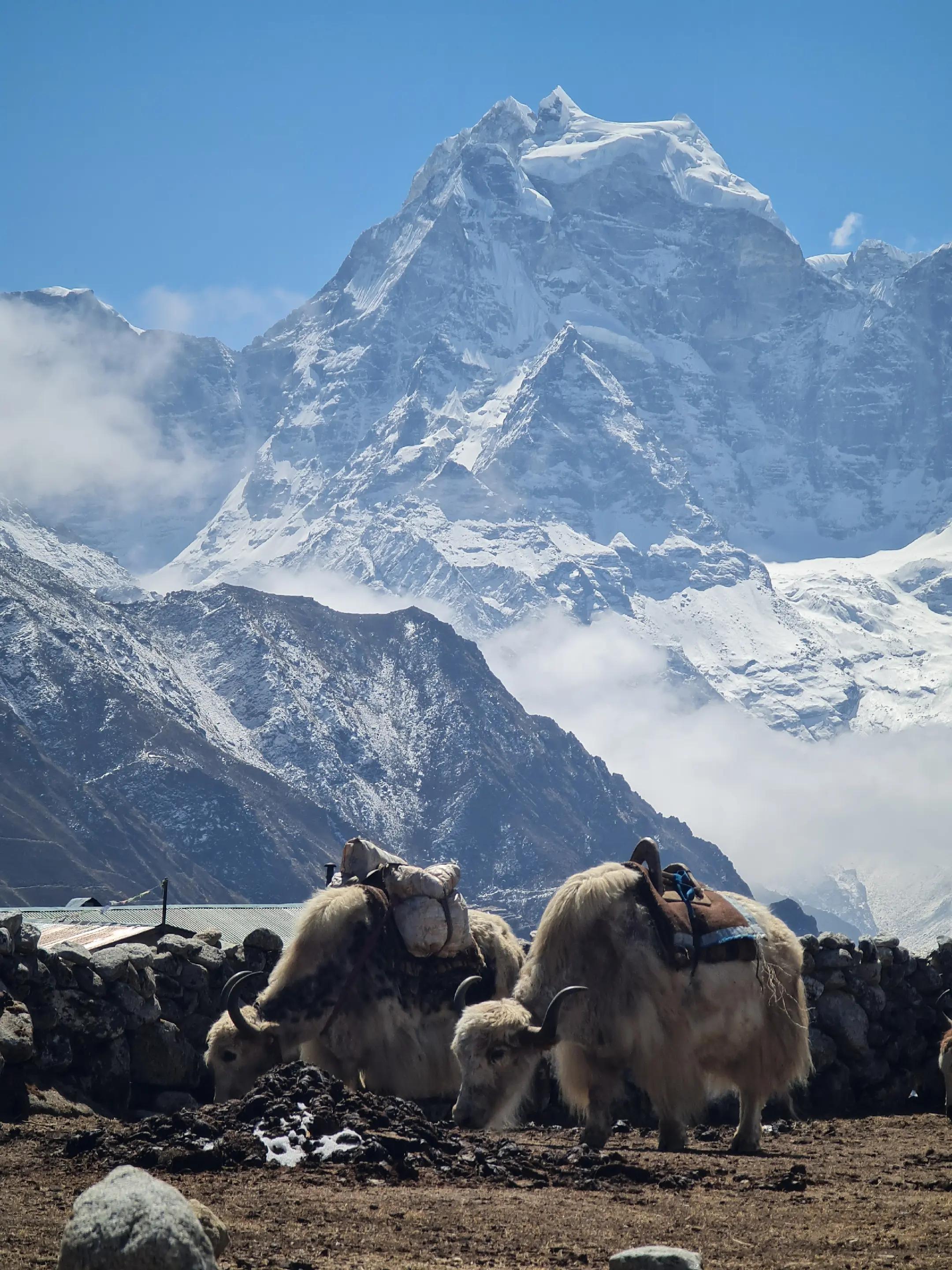 Gokyo Lakes 14-Day Trek | Everest Region Adventure & Sherpa Culture