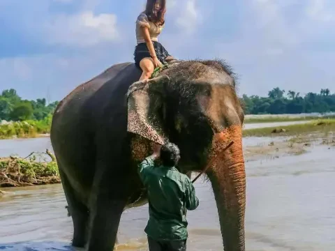 Chitwan National Park 2N 3D Luxury Tour