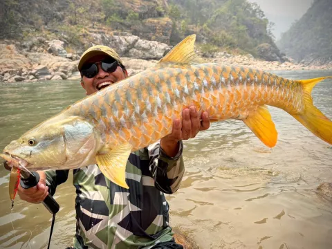 Golden Mahseer - The Jewel of Nepal’s Rivers