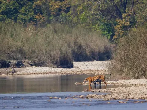 Bardiya National Park 4N 5D Tour