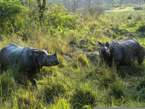 Chitwan National Park 4N 5D Budget Tour