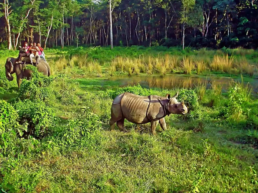 Chitwan National Park 3N 4D Luxury Tour