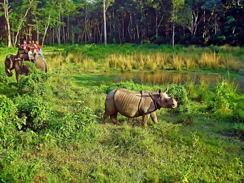 Chitwan National Park 3N 4D Luxury Tour