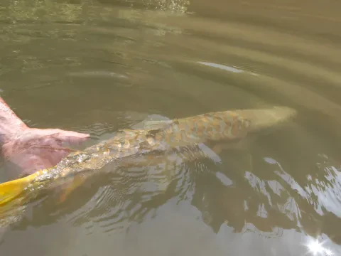 Babai River Fishing Expedition 3 Days