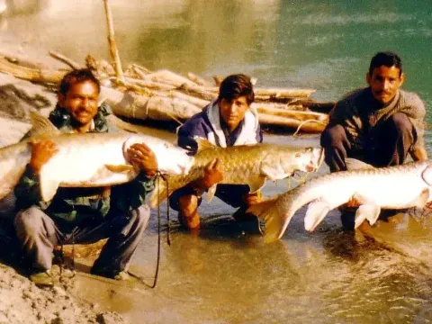 Seti Karnali Fishing Expedition – 4 Days