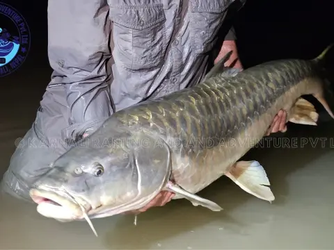 Seti Karnali Fishing Expedition – 1 Days