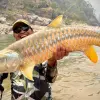 #GoldenMahseer #NepalFishing #KarnaliRiver #SetiRiver #TrophyFishing #FlyFishingNepal #AnglingExpedition