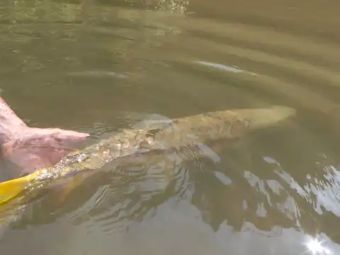 Babai River Fishing Expedition 3 Days