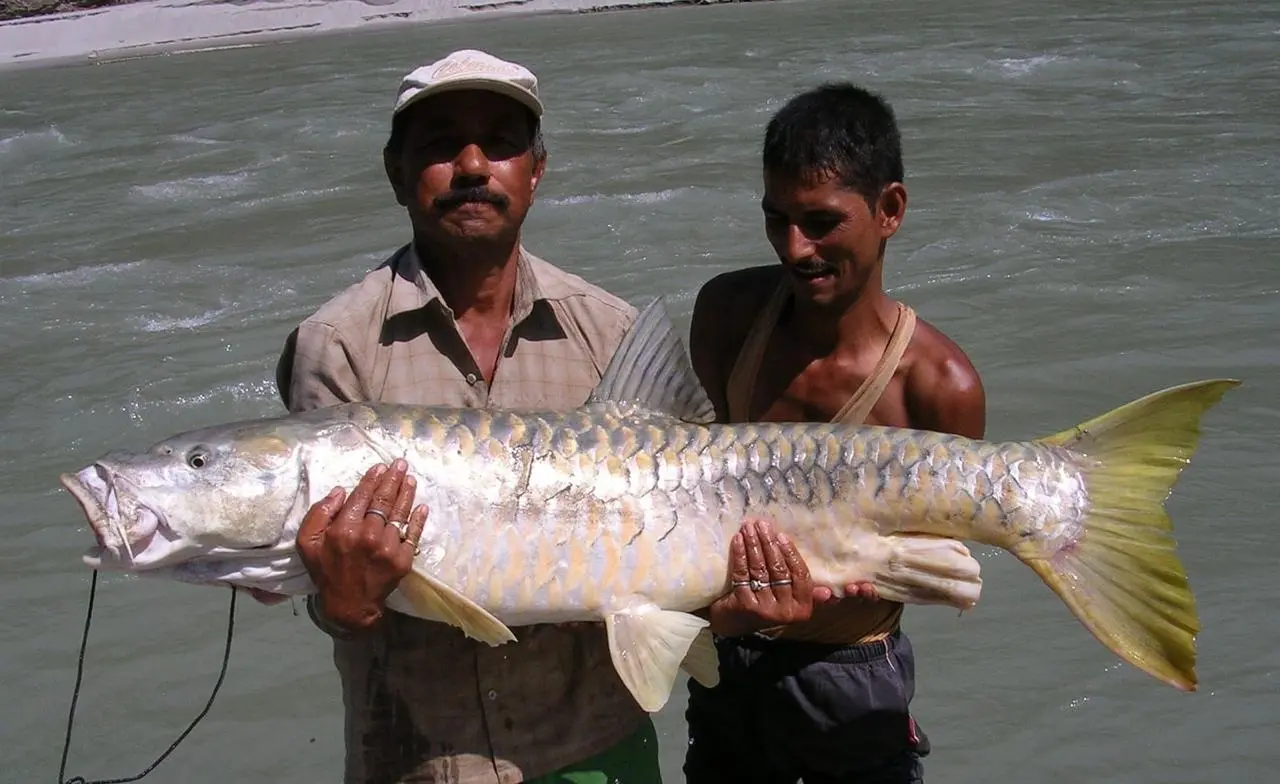 Seti Karnali Fishing Expedition – 12 Days
