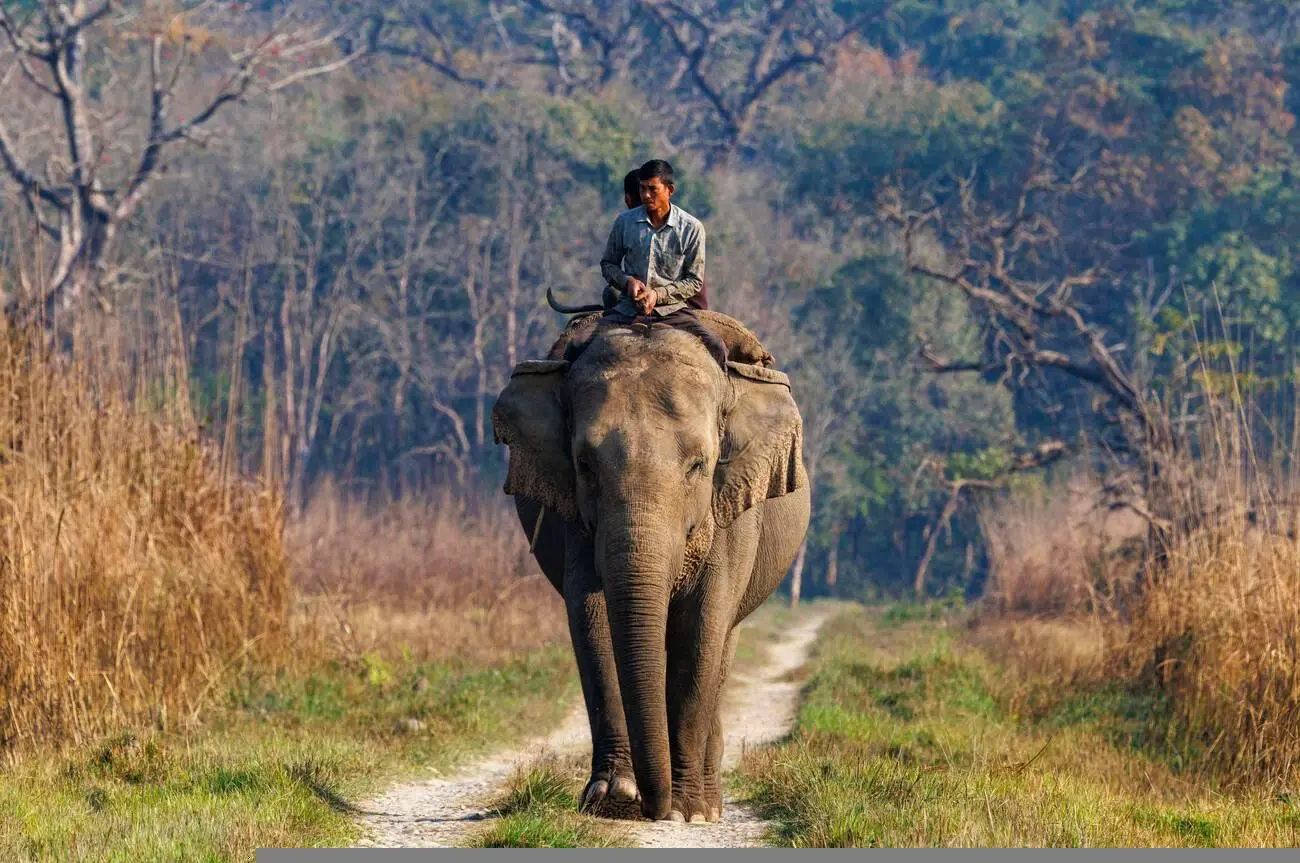 Bardiya National Park 2N 3D Tour