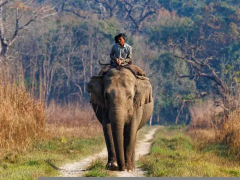Bardiya National Park 2N 3D Tour