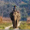 Bardiya National Park 2N 3D Tour