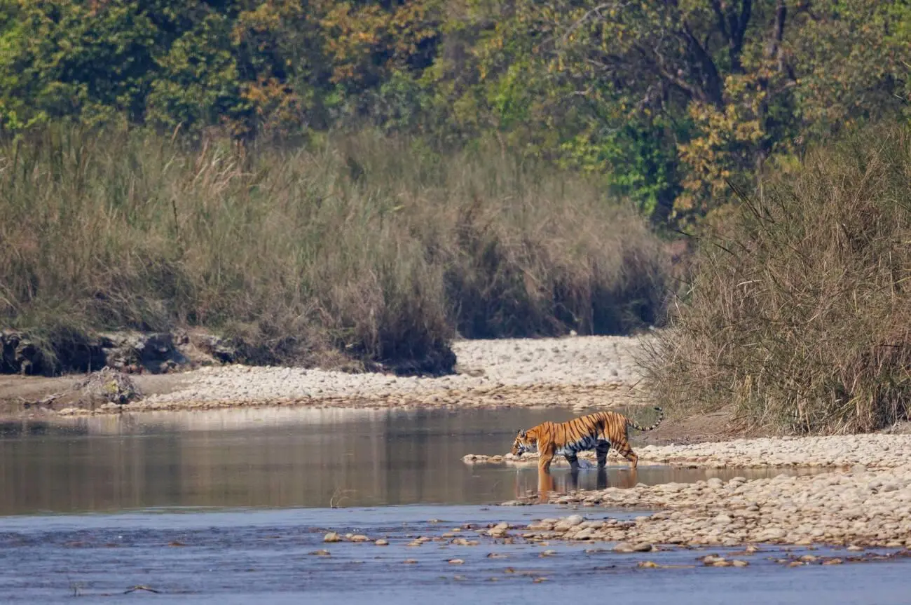 Bardiya National Park 4N 5D Tour