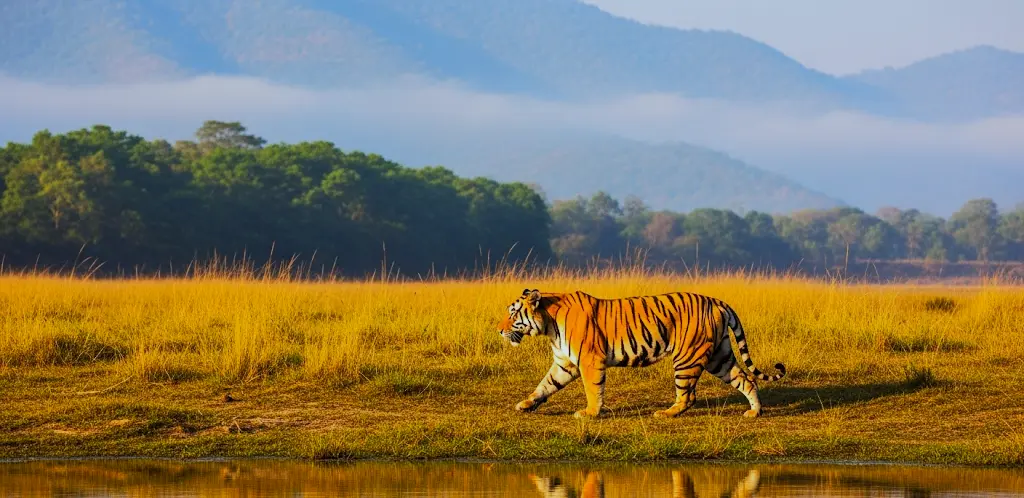 Bardiya National Park 3N 4D Tour