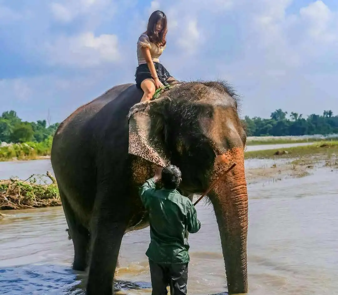 Chitwan National Park 2N 3D Luxury Tour